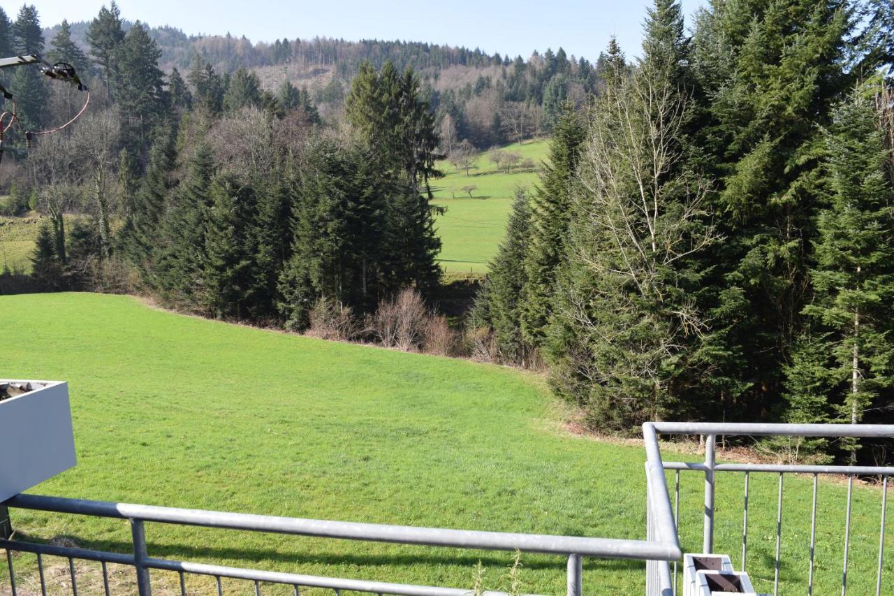 Ferienwohnung im Dettenbachtal Waldkirch Exterior foto