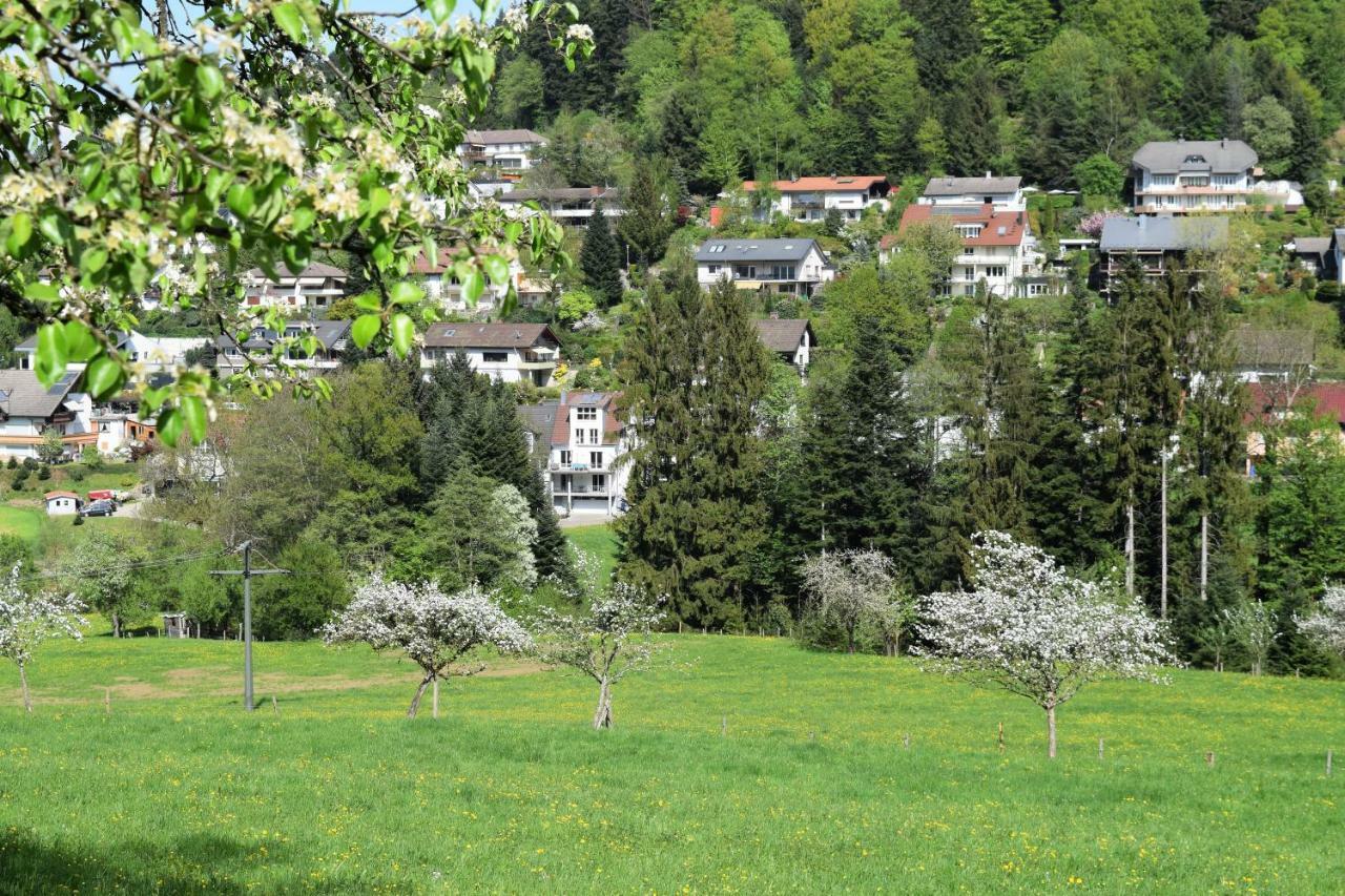 Ferienwohnung im Dettenbachtal Waldkirch Exterior foto