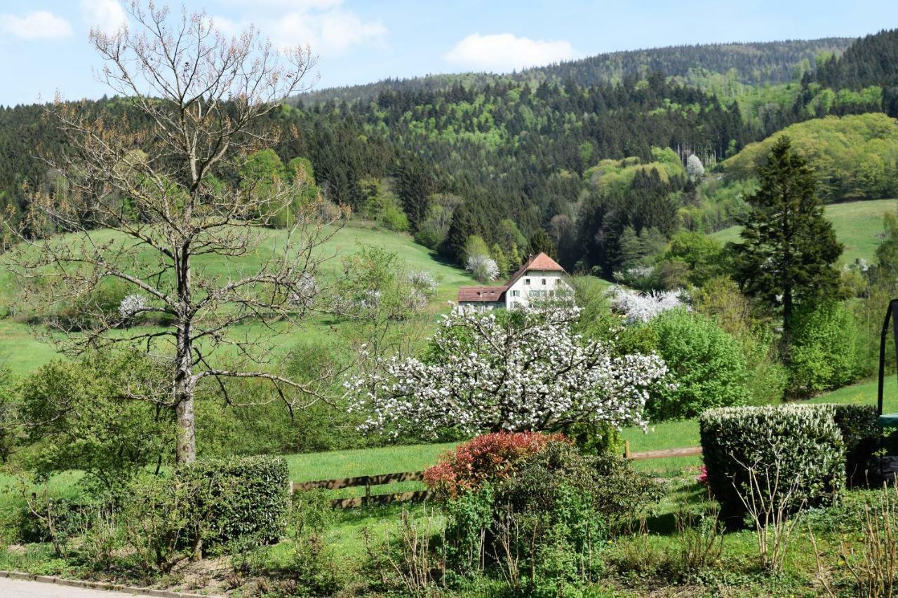 Ferienwohnung im Dettenbachtal Waldkirch Exterior foto